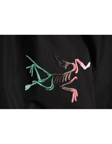 Arc`teryx Year of the Rabbit limited color logo hard shell jacket,Arcteryx
